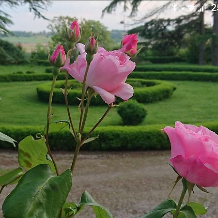 Bed and Breakfast Chateau De Clermont-Saves LʼIsle-Jourdain Exteriér fotografie
